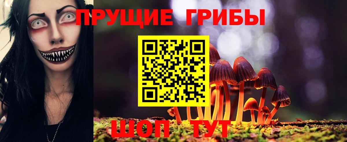 Саранск  Псилоцибиновые грибы GOLDEN TEACHER  Вход с VPN  Псилоцибиновые грибы ЛСД 